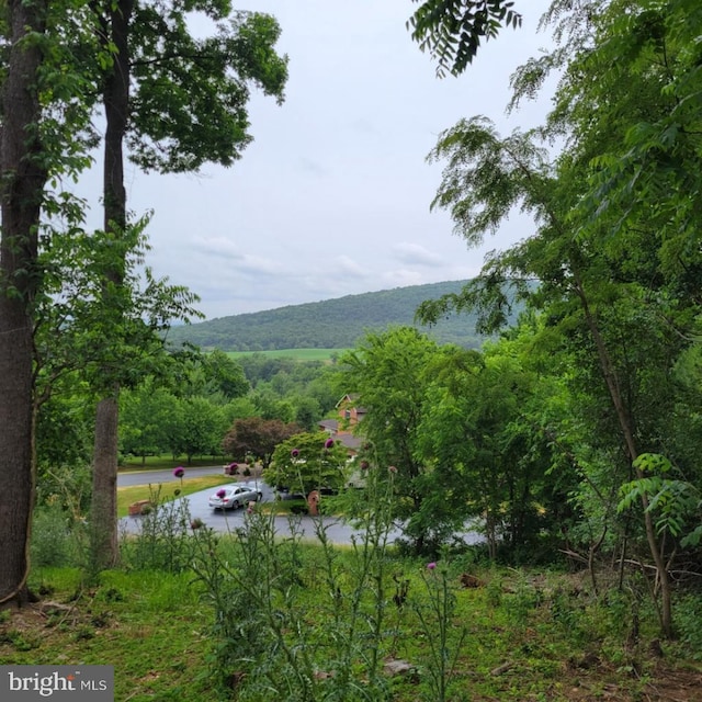 10952 Partridge Dr, Waynesboro, PA 17268