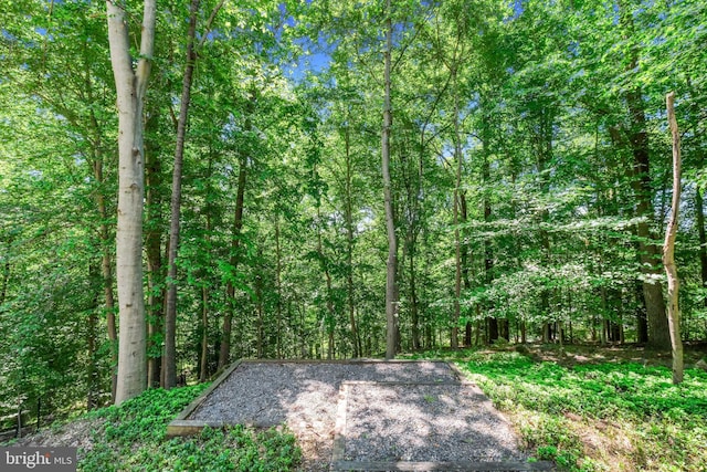 7005 Natelli Woods Ln, Bethesda, MD 20817 - view of road with a view of trees