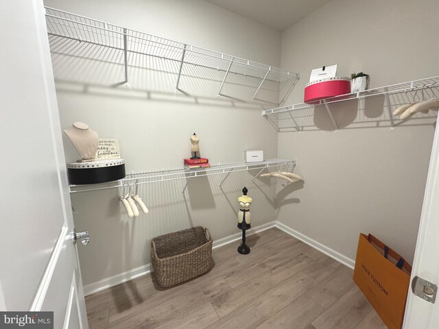 15741 Gardenia Ridge Way, Haymarket, VA 20169 - walk in closet featuring wood finished floors