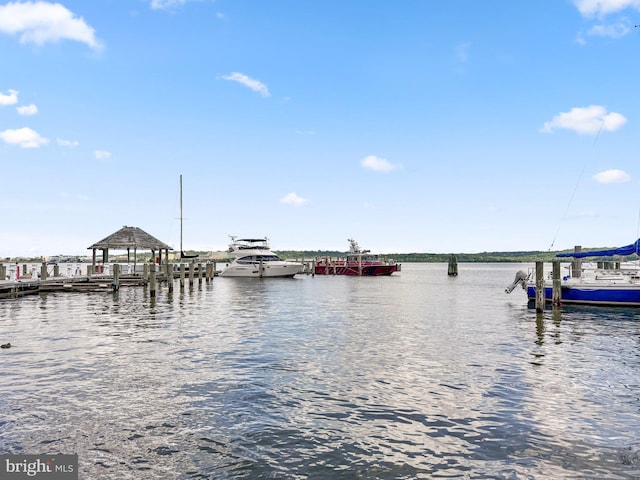 3949 Taney Ave, Alexandria, VA 22304 - dock featuring a water view