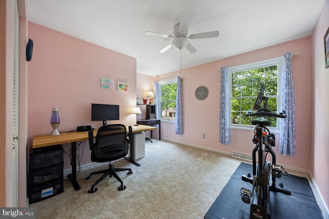 5455 Crowflock Ct, Columbia, MD 21045 - office space with ceiling fan, carpet, and baseboards