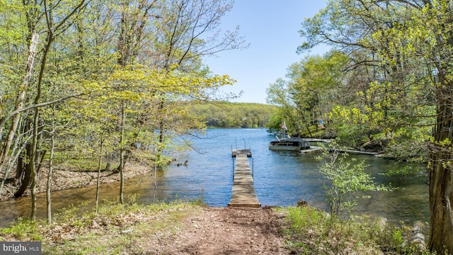 636 Paradise Hts, Oakland, MD 21550 - dock featuring a view of trees and a water view