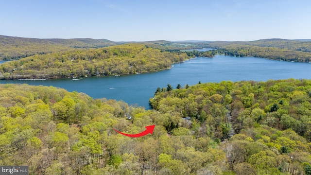 636 Paradise Hts, Oakland, MD 21550 - bird's eye view of a forest and a nearby body of water