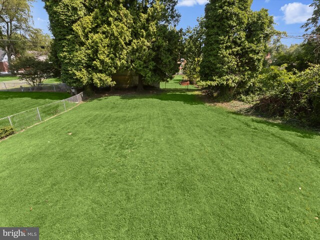 3817 Arbutus Ave, Baltimore, MD 21207 - view of yard