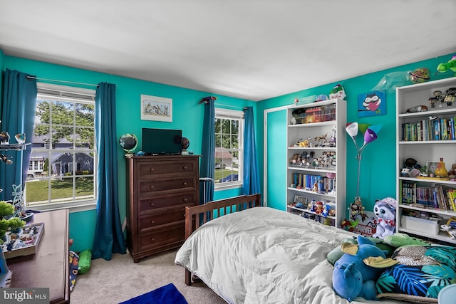 230 Aqua Ln, Delran, NJ 08075 - bedroom with carpet flooring and multiple windows