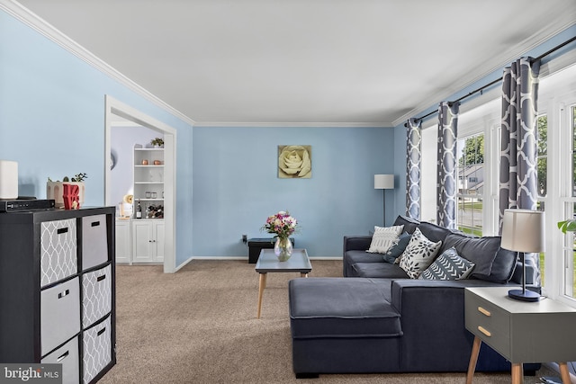 230 Aqua Ln, Delran, NJ 08075 - carpeted living area with crown molding and baseboards
