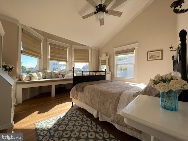 204 Coral St, Beach Haven, NJ 08008 - bedroom with high vaulted ceiling, wood finished floors, and ceiling fan