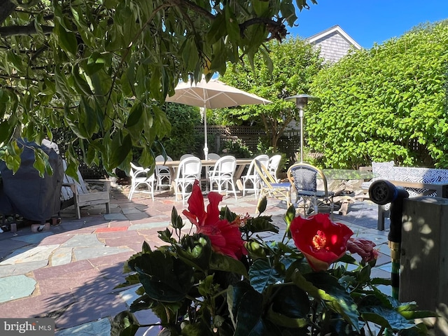 204 Coral St, Beach Haven, NJ 08008 - view of patio