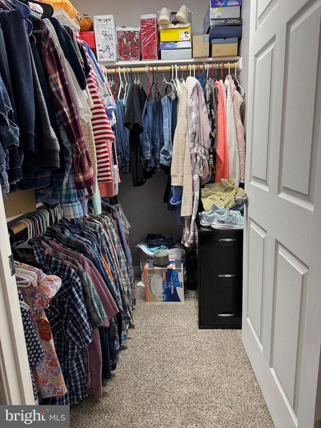 71 Shultz Way, Moorefield, WV 26836 - spacious closet featuring carpet