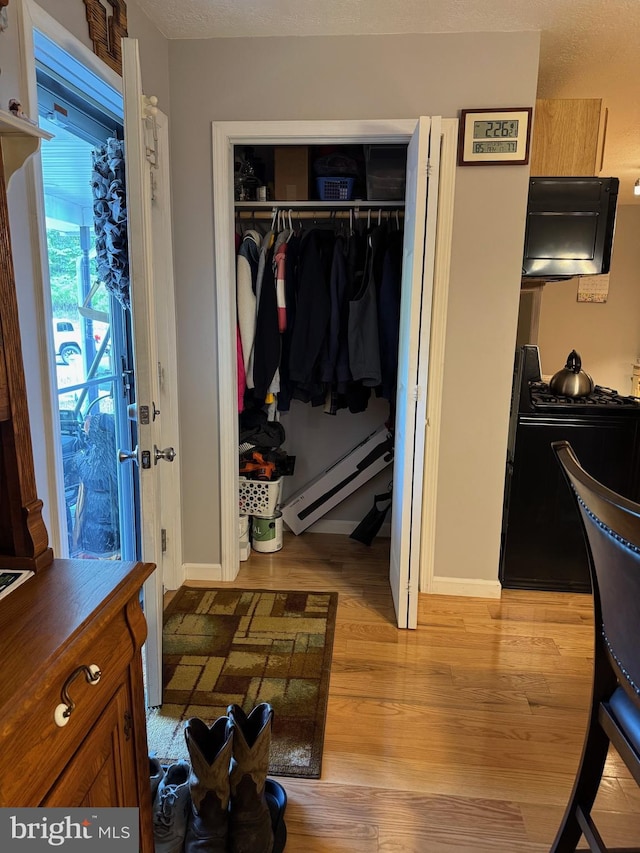 71 Shultz Way, Moorefield, WV 26836 - closet featuring baseboard heating