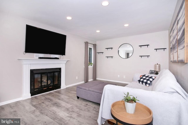 220 Brian Dr, Enola, PA 17025 - living area featuring wood finished floors, a glass covered fireplace, recessed lighting, and baseboards