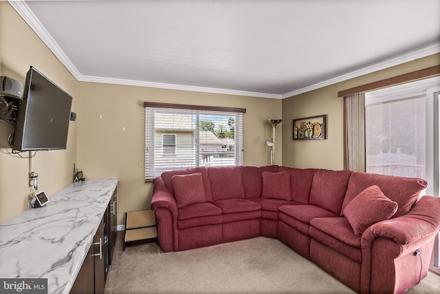 74 N Chester Ave, Riverside, NJ 08075 - living room with crown molding and light colored carpet