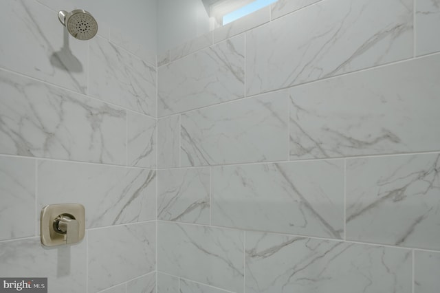 36531 Burleson Dr, Frankford, DE 19945 - bathroom view of a tile shower