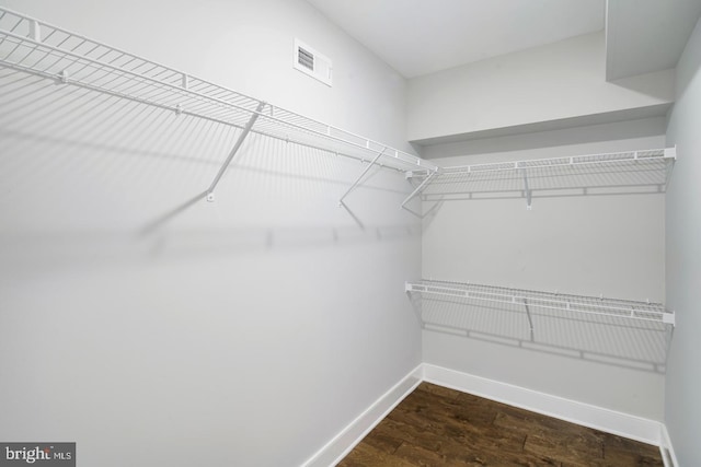 1212 E Susquehanna Ave Unit D, Philadelphia, PA 19125 - walk in closet featuring wood finished floors