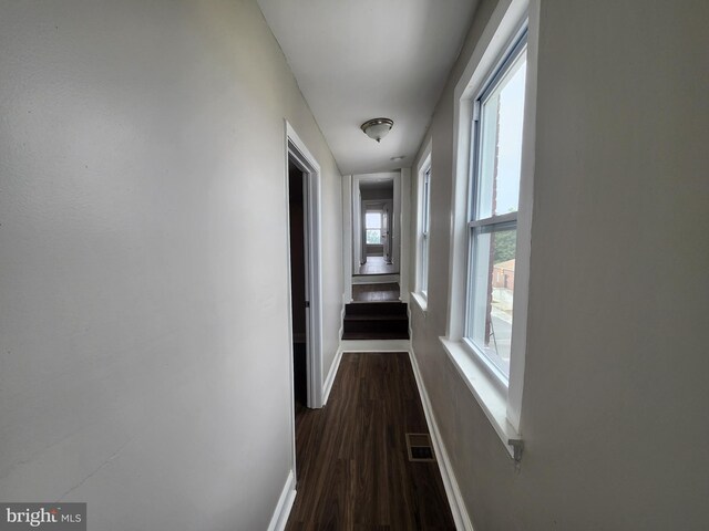 1000 E Preston St, Baltimore, MD 21202 - hallway featuring dark wood-style flooring and baseboards