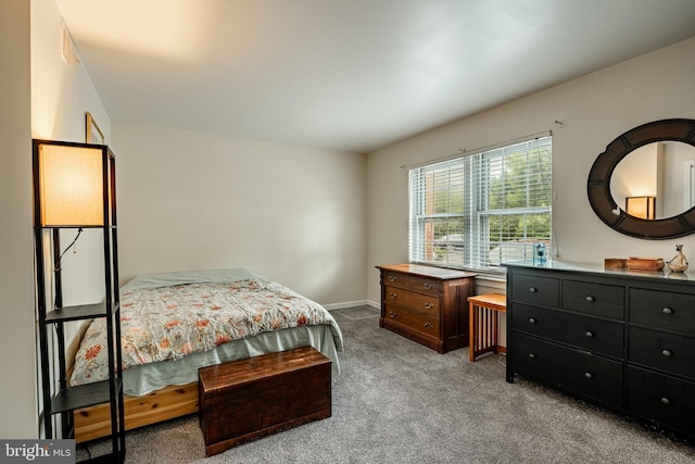 922 Montgomery Ave Unit J-1, Bryn Mawr, PA 19010 - carpeted bedroom with baseboards