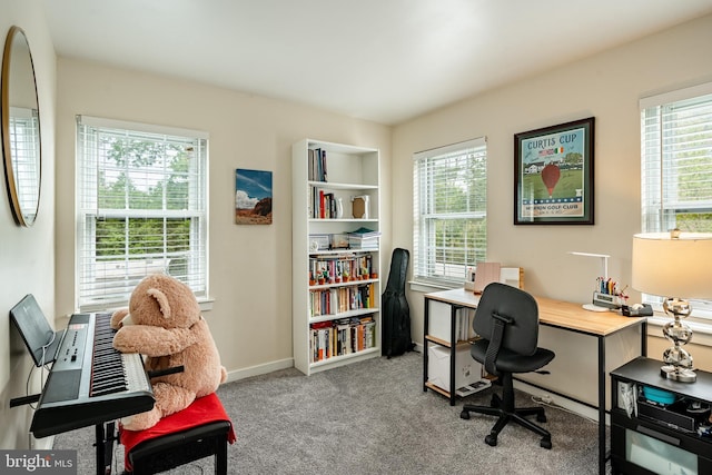 922 Montgomery Ave Unit J-1, Bryn Mawr, PA 19010 - carpeted office featuring plenty of natural light and baseboards