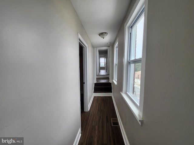 1000 E Preston St, Baltimore, MD 21202 - hallway featuring dark wood-style flooring and baseboards