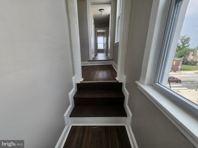1000 E Preston St, Baltimore, MD 21202 - stairway featuring wood finished floors and baseboards