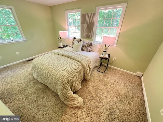 1027 Hart Rd, Baltimore, MD 21286 - bedroom featuring carpet and baseboards