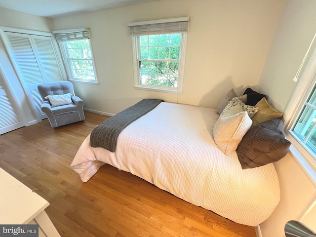 1027 Hart Rd, Baltimore, MD 21286 - bedroom featuring wood finished floors, baseboards, and a closet