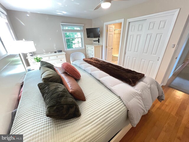 1027 Hart Rd, Baltimore, MD 21286 - bedroom with light wood-type flooring, a closet, ceiling fan, and connected bathroom