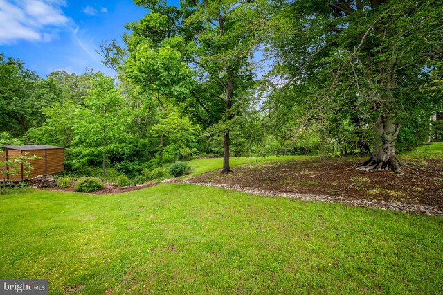 1602 S Rolling Rd, Halethorpe, MD 21227 - view of grassy yard with an outbuilding