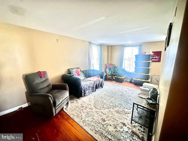 316 E Camden Wyoming Ave, Camden, DE 19934 - living area featuring wood-type flooring