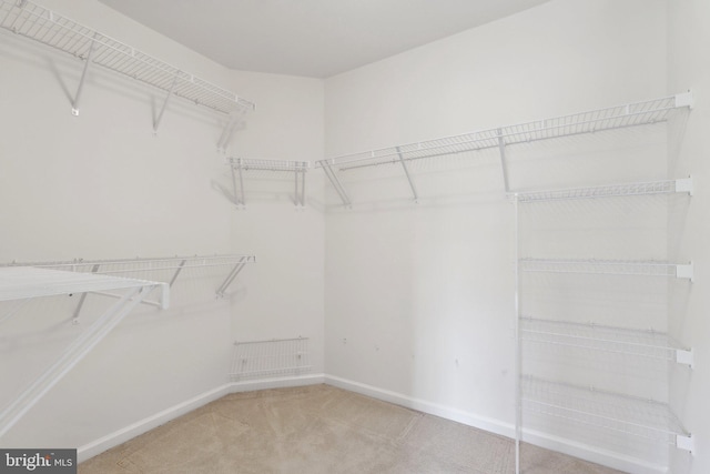 42322 Rising Moon Pl, Brambleton, VA 20148 - walk in closet featuring carpet floors