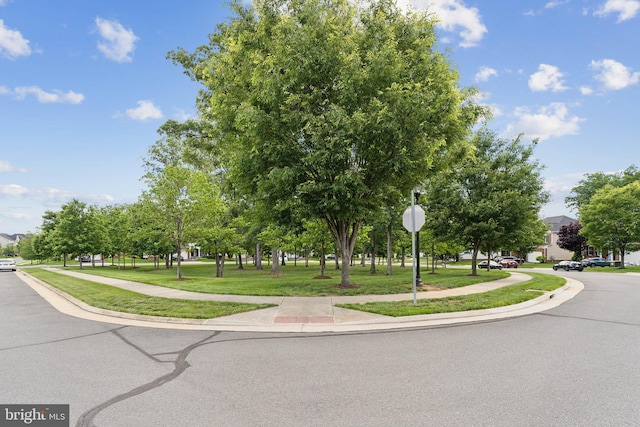 42322 Rising Moon Pl, Brambleton, VA 20148 - view of property's community with a yard
