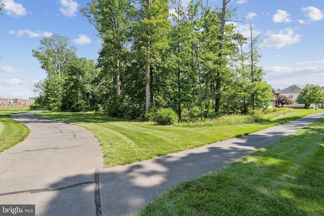 42322 Rising Moon Pl, Brambleton, VA 20148 - view of home's community featuring a yard