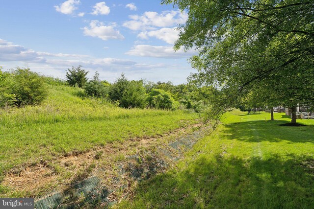 42322 Rising Moon Pl, Brambleton, VA 20148 - view of yard