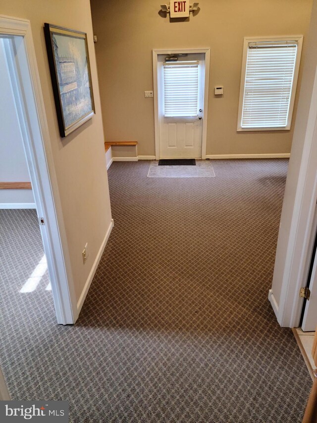 364 Swedesboro Rd, Mullica Hill, NJ 08062 - hallway featuring carpet floors and baseboards
