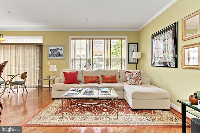 120 Fortnightly Blvd, Herndon, VA 20170 - living area with crown molding, wood-type flooring, and baseboards