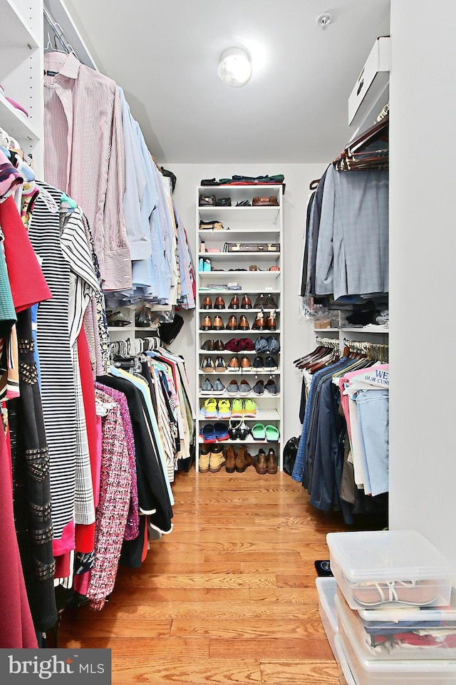 120 Fortnightly Blvd, Herndon, VA 20170 - walk in closet featuring wood finished floors