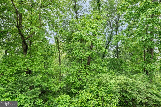 355 Westridge Cir Unit 128, Phoenixville, PA 19460 - view of wooded area