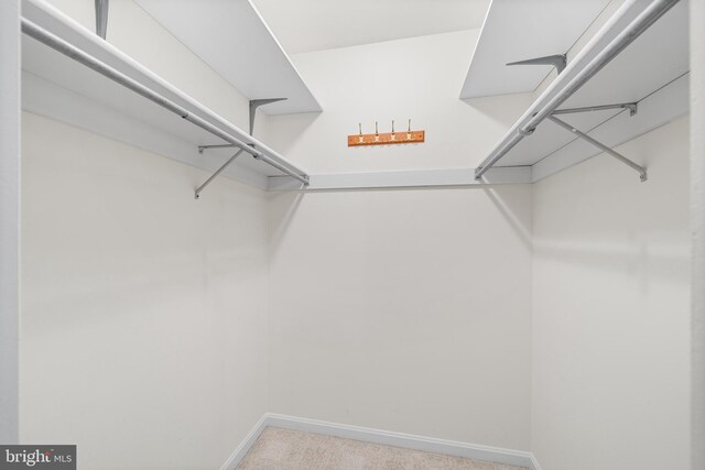 355 Westridge Cir Unit 128, Phoenixville, PA 19460 - spacious closet featuring carpet floors