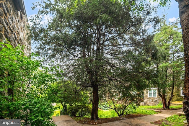 1826 N 52nd St, Philadelphia, PA 19131 - view of yard