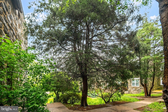 1826 N 52nd St, Philadelphia, PA 19131 - view of yard