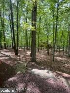 208 Owego Dr, Hazleton, PA 18202
