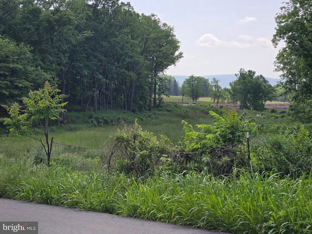 Lewisville Rd, Summit Point, WV 25446