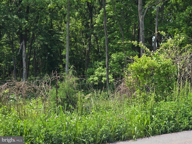 Lewisville Rd, Summit Point, WV 25446