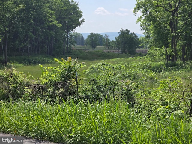 Lewisville Rd, Summit Point, WV 25446