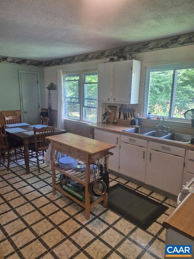 566 Holman Mill Rd, Farmville, VA 23901 - kitchen featuring a sink, a textured ceiling, white cabinets, plenty of natural light, and radiator