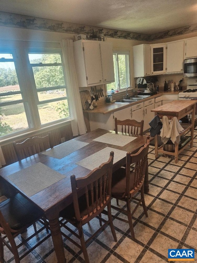 566 Holman Mill Rd, Farmville, VA 23901 - view of dining room
