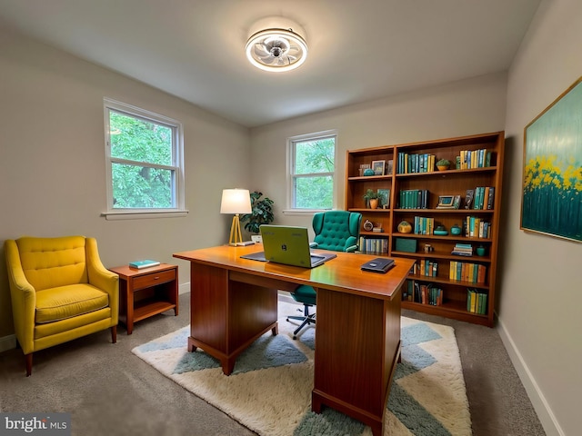 215 Bridge Rd, Upper Chichester, PA 19061 - carpeted office with baseboards