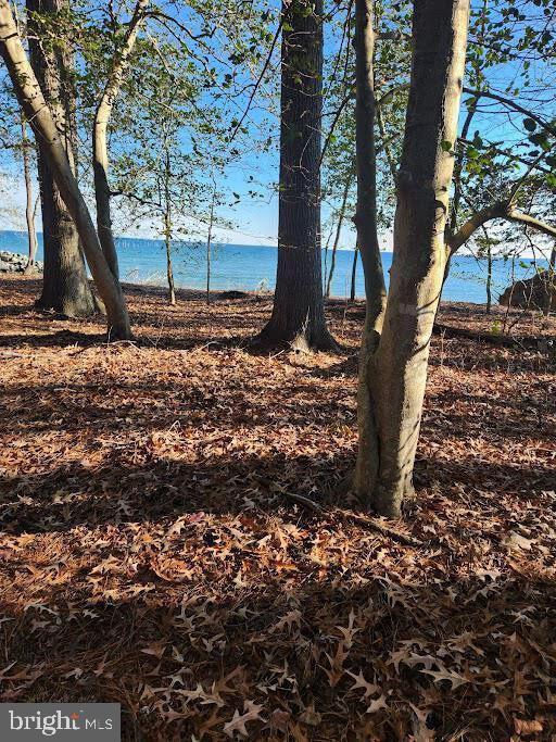 18500 Shipwreck Way, Dameron, MD 20628