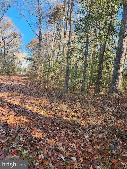 18500 Shipwreck Way, Dameron, MD 20628