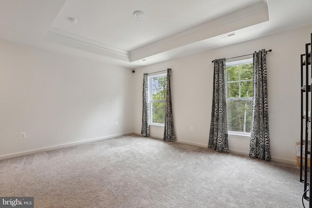 11041 Lee St, King George, VA 22485 - carpeted spare room with a raised ceiling, ornamental molding, healthy amount of natural light, and baseboards