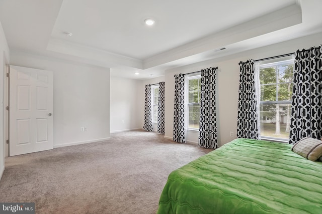 11041 Lee St, King George, VA 22485 - carpeted bedroom featuring a tray ceiling, ornamental molding, baseboards, and recessed lighting